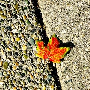 Meet your Posher, Dita